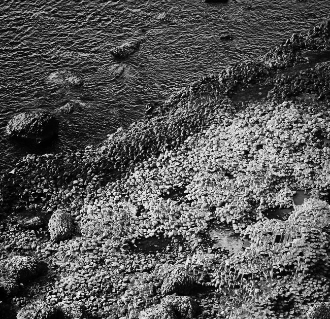 Texture in Black and White