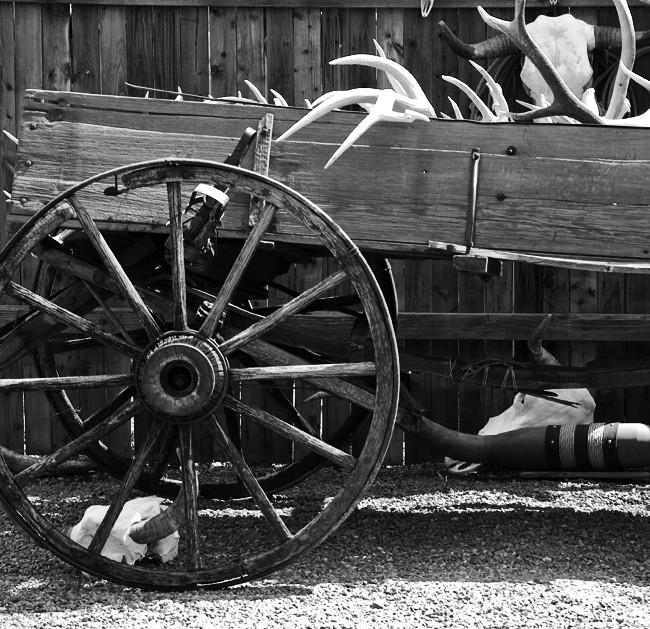 Wagon Wheel