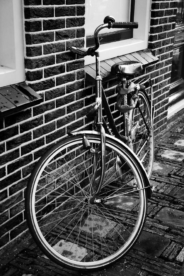 Bicycle | Katherine Petcoff