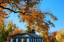 Boathouse in Fall